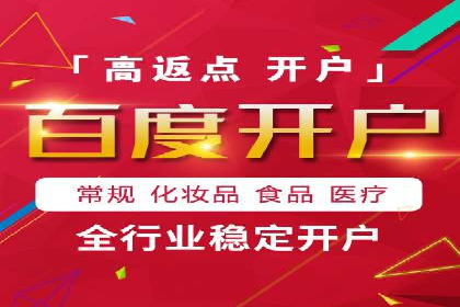 成功运用SEM服务实现品牌推广的案例分析